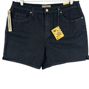 Hybrid & Co. Women's Trendy Look Stretch Navy Shorts Plus Sz 20 (Waist 36") NWT